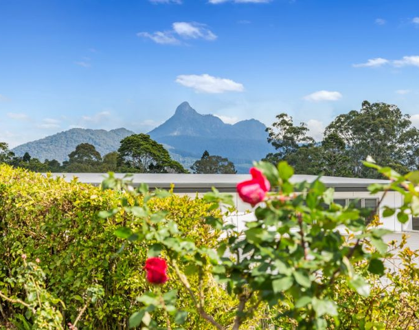 67 Hall Drive, Murwillumbah NSW 2484