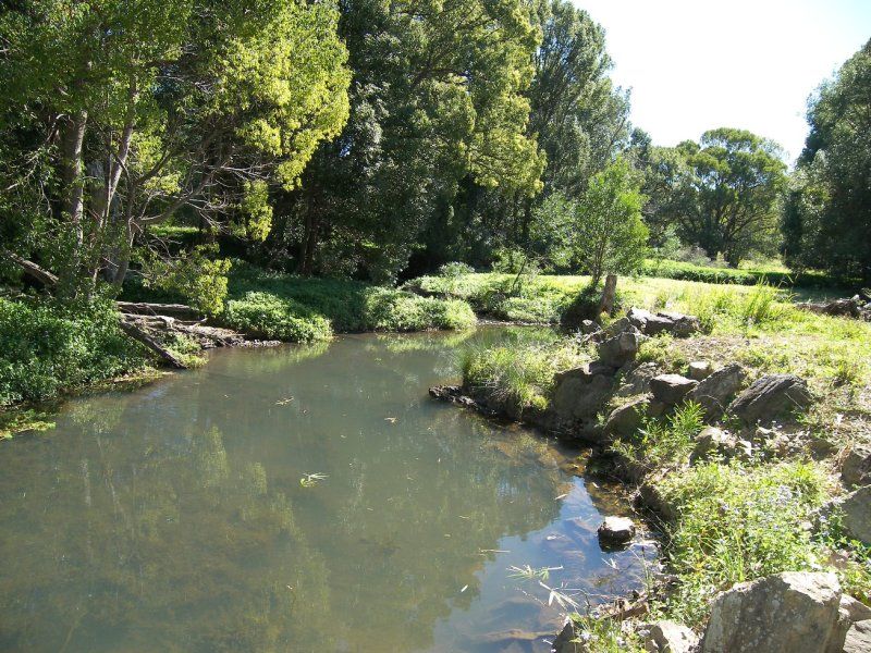 59 Crabbes Creek Rd, Crabbes Creek NSW 2483, Image 0