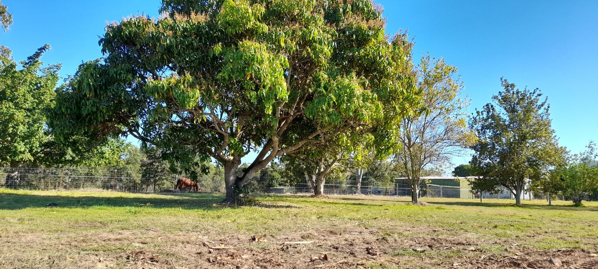 14 (lot 2) Alzino Court, Caboolture QLD 4510, Image 1