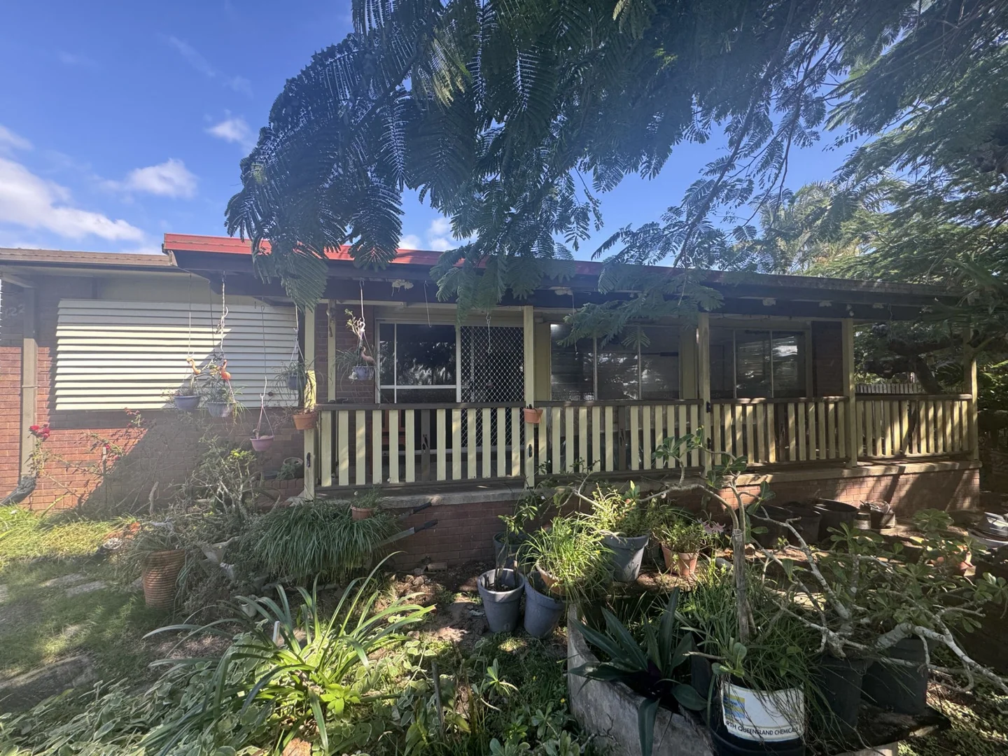 Image 23