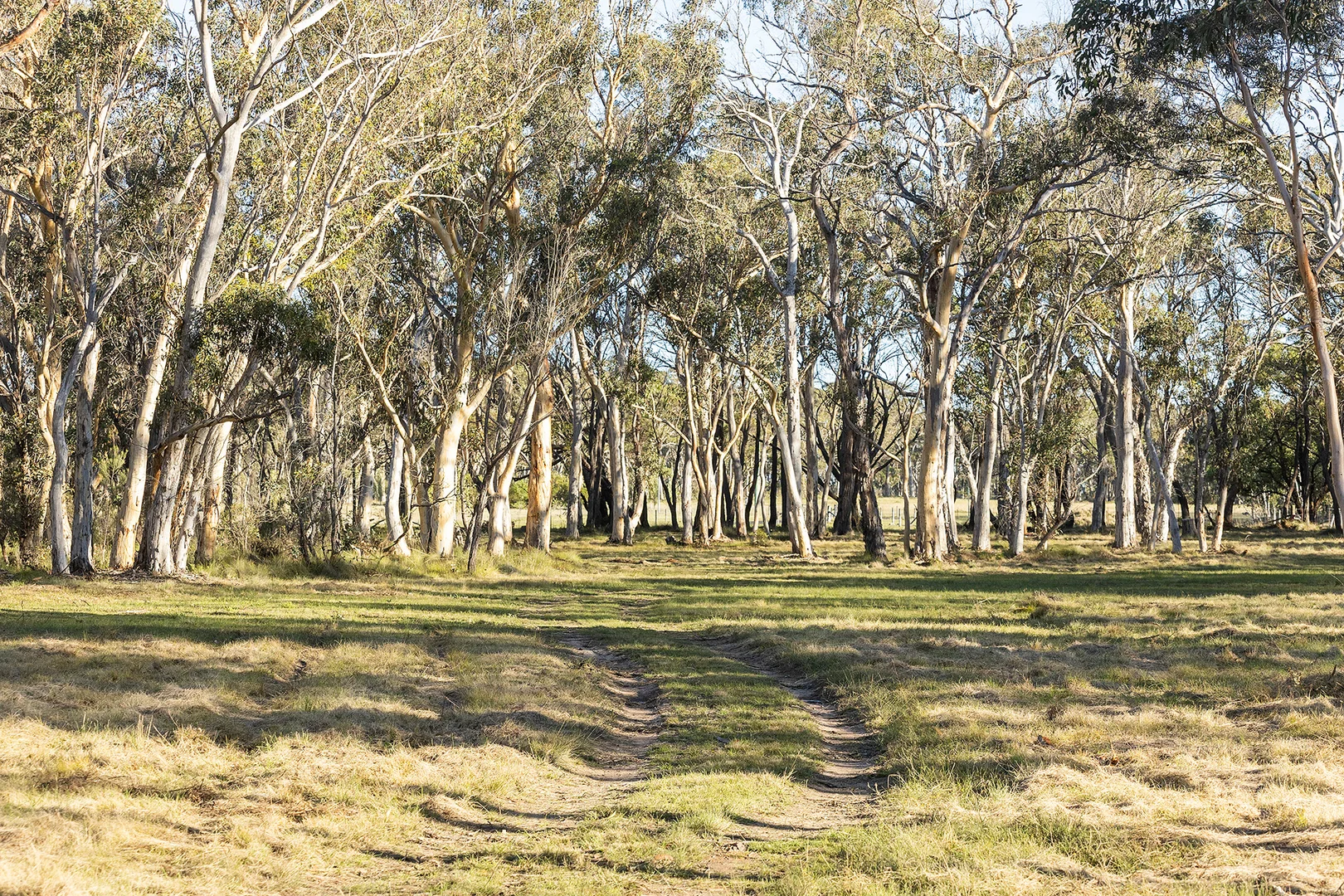 Additional image 28 of 122 Shale Lane, High Range NSW 2575