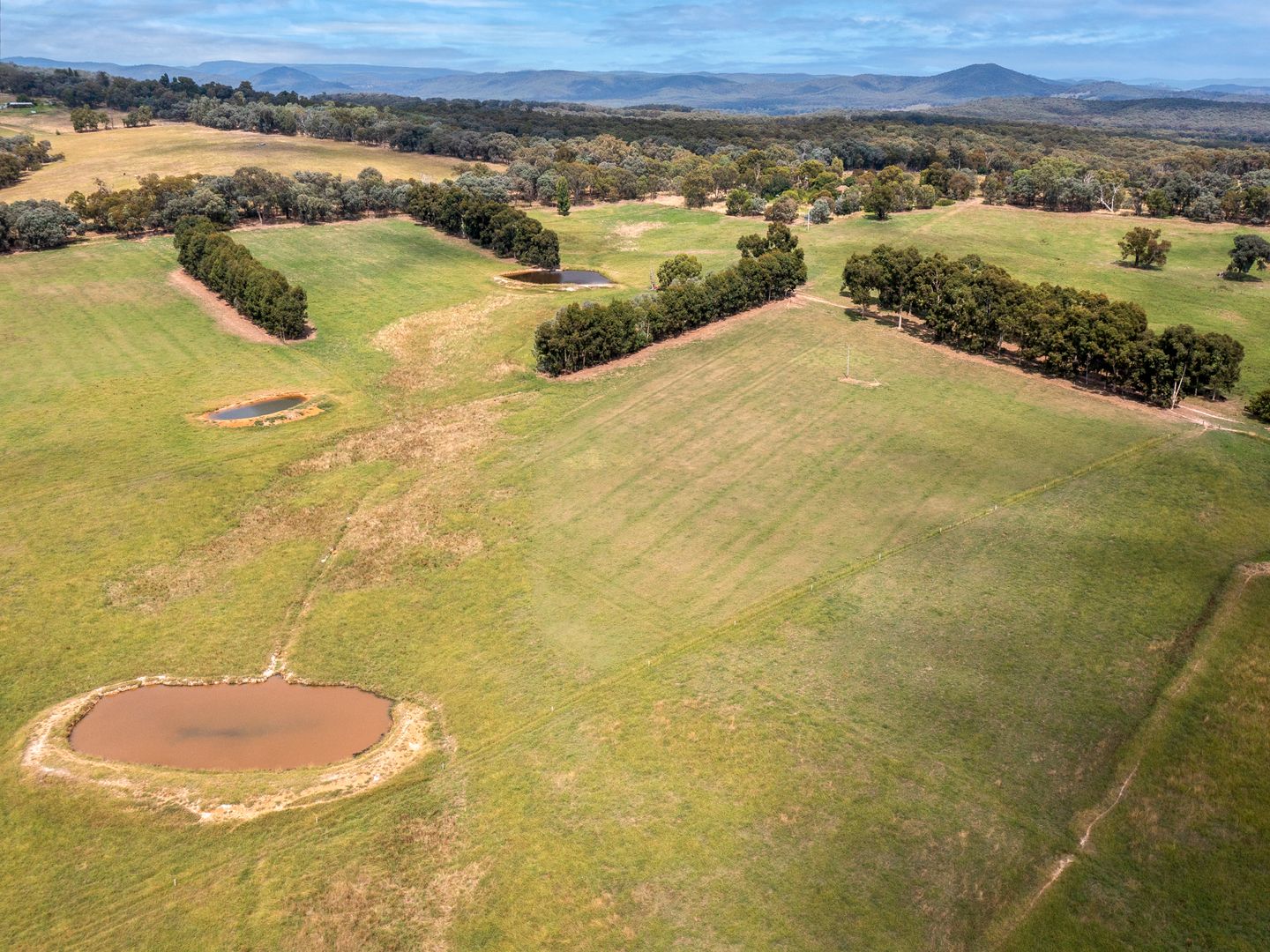 00 Delaneys Lane, Hansonville VIC 3675 Farm for Sale 1,425,000