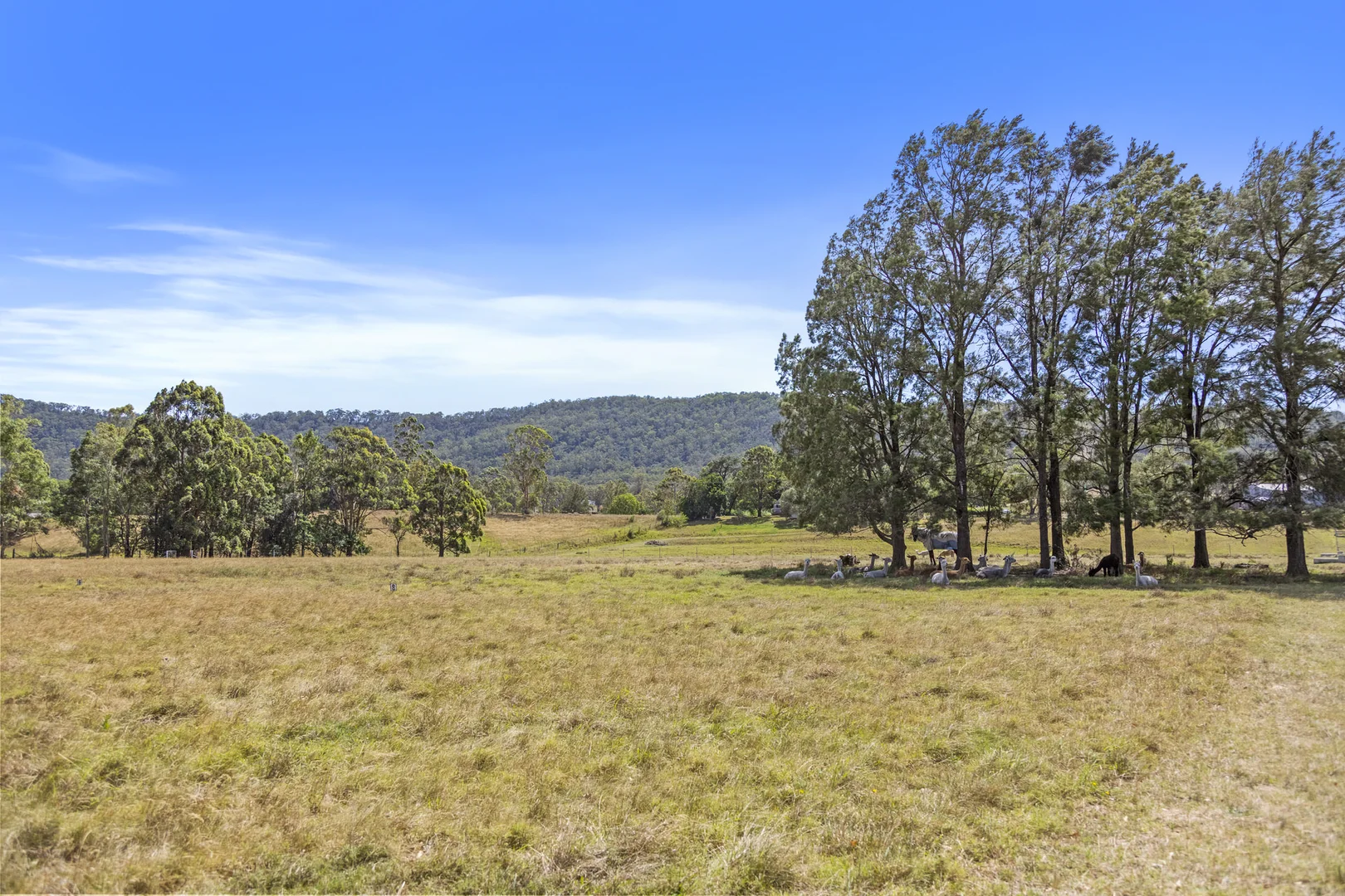 Additional image 40 of 951 Maitland Vale Road, Rosebrook NSW 2320