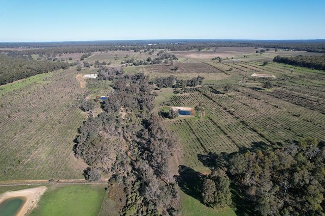 Picture of 8 Cunningham Road, WILGA WA 6243