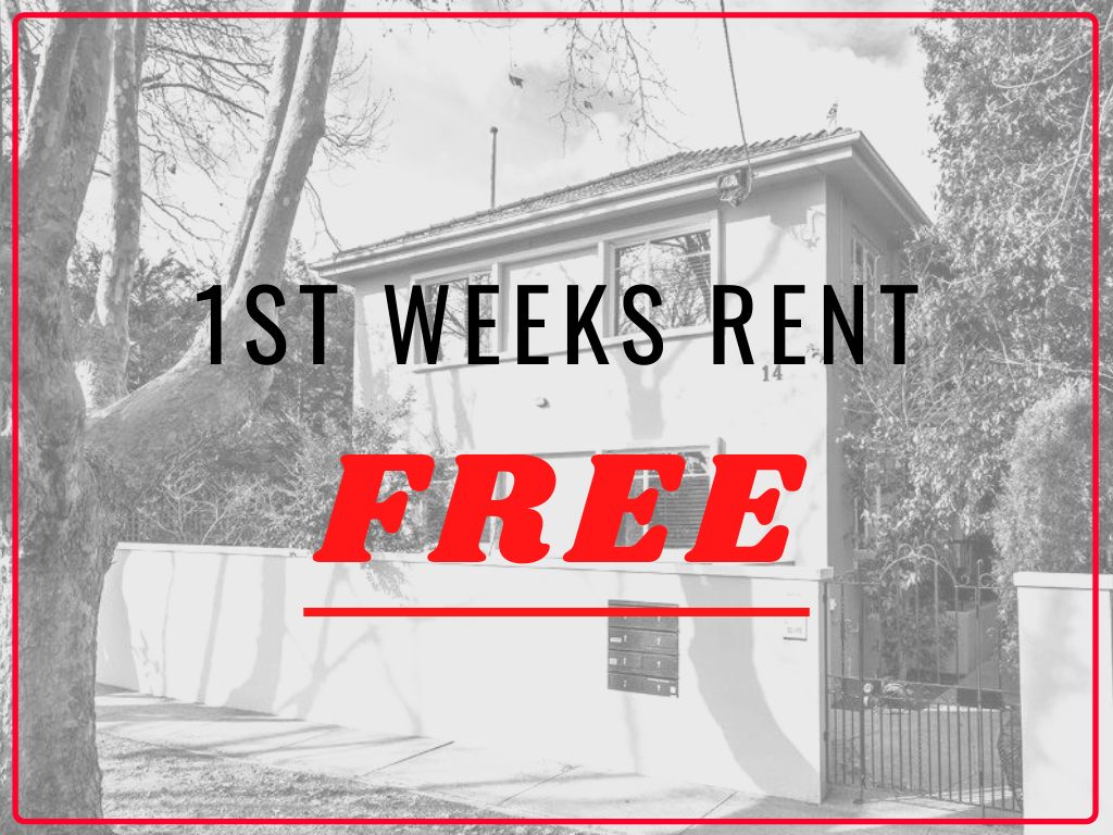 6 14 Chatsworth Road Prahran Vic 3181 Apartment For Rent 364 395 Domain