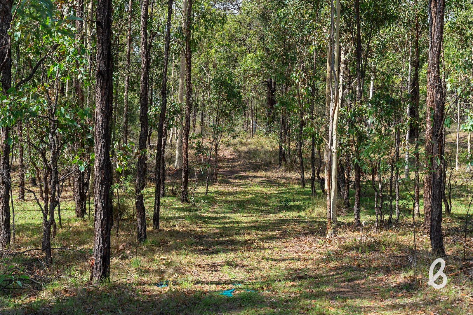 Additional image 46 of 311 Gresford Road, Singleton NSW 2330