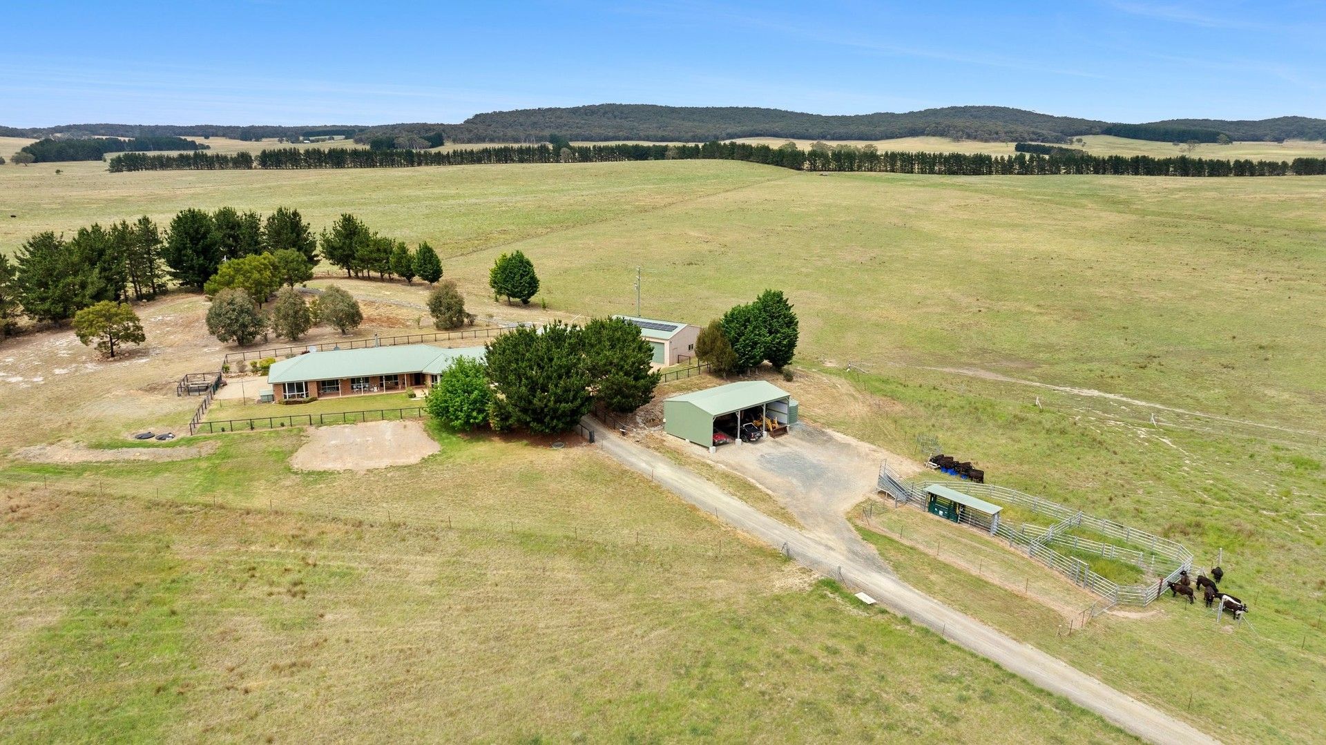 2204 Windellama Road, Quialigo NSW 2580 - House for Sale | Domain