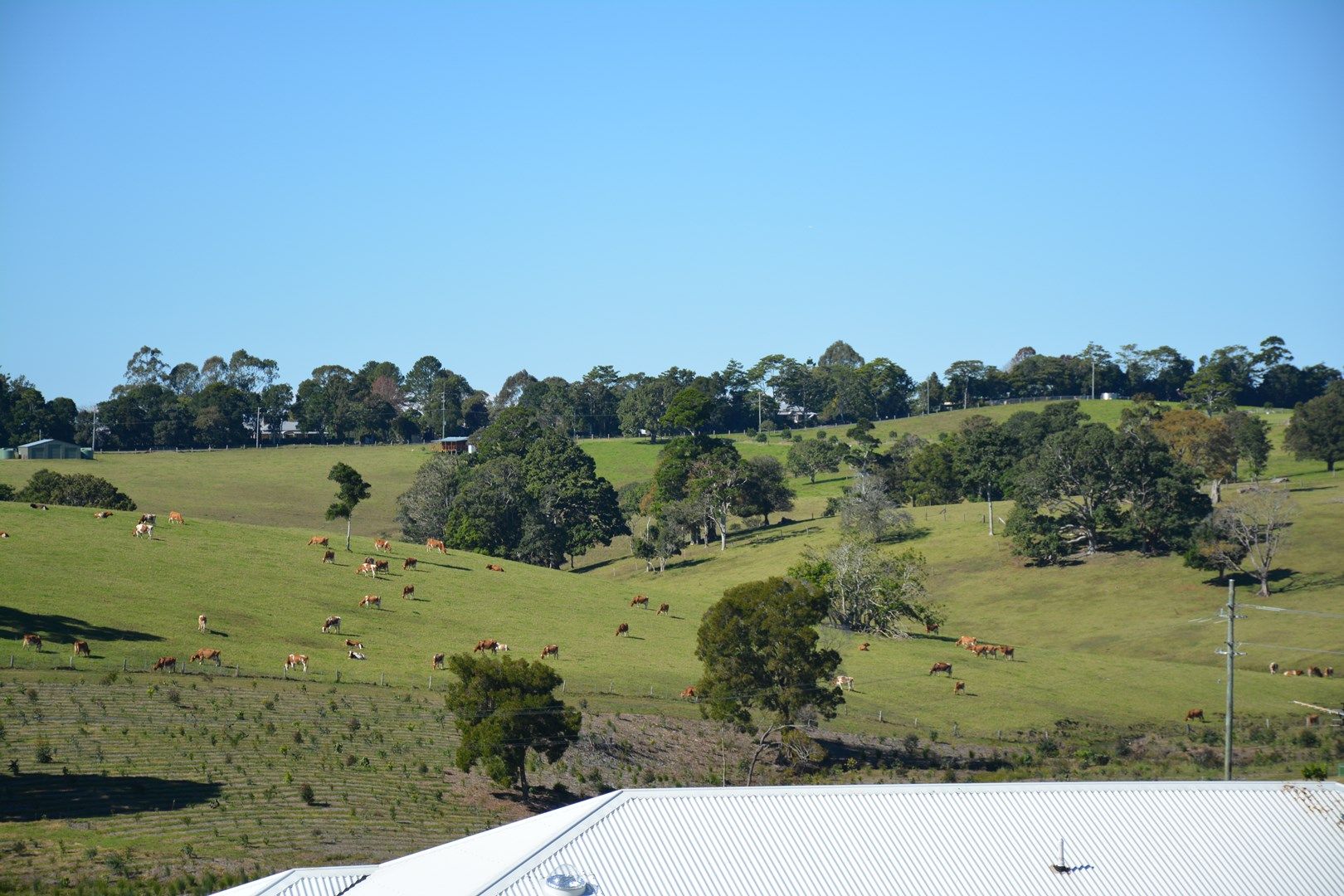 Lot 41/100 Tallowwood Street, Maleny QLD 4552, Image 0