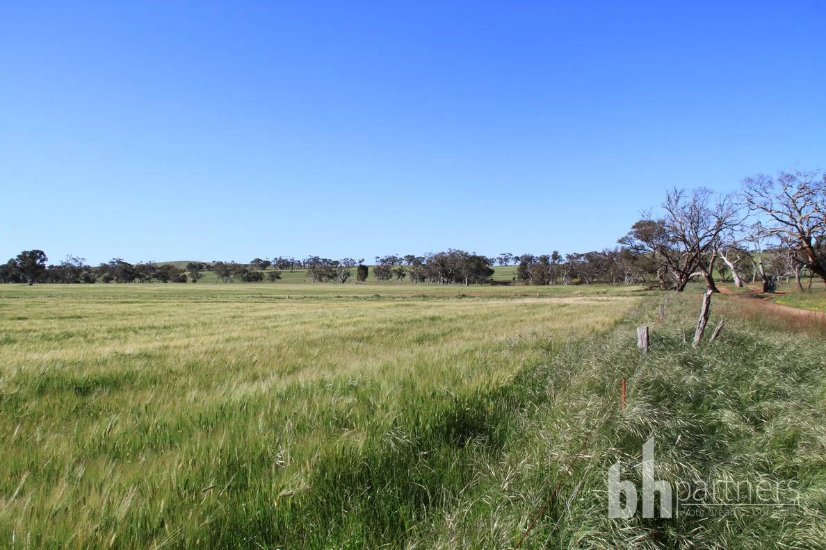 Additional image 31 of Section 332 and Section 330 & 405 Kubenk Road, Rockleigh SA 5254