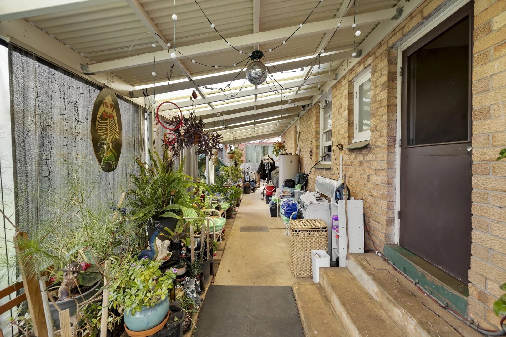 Image 14