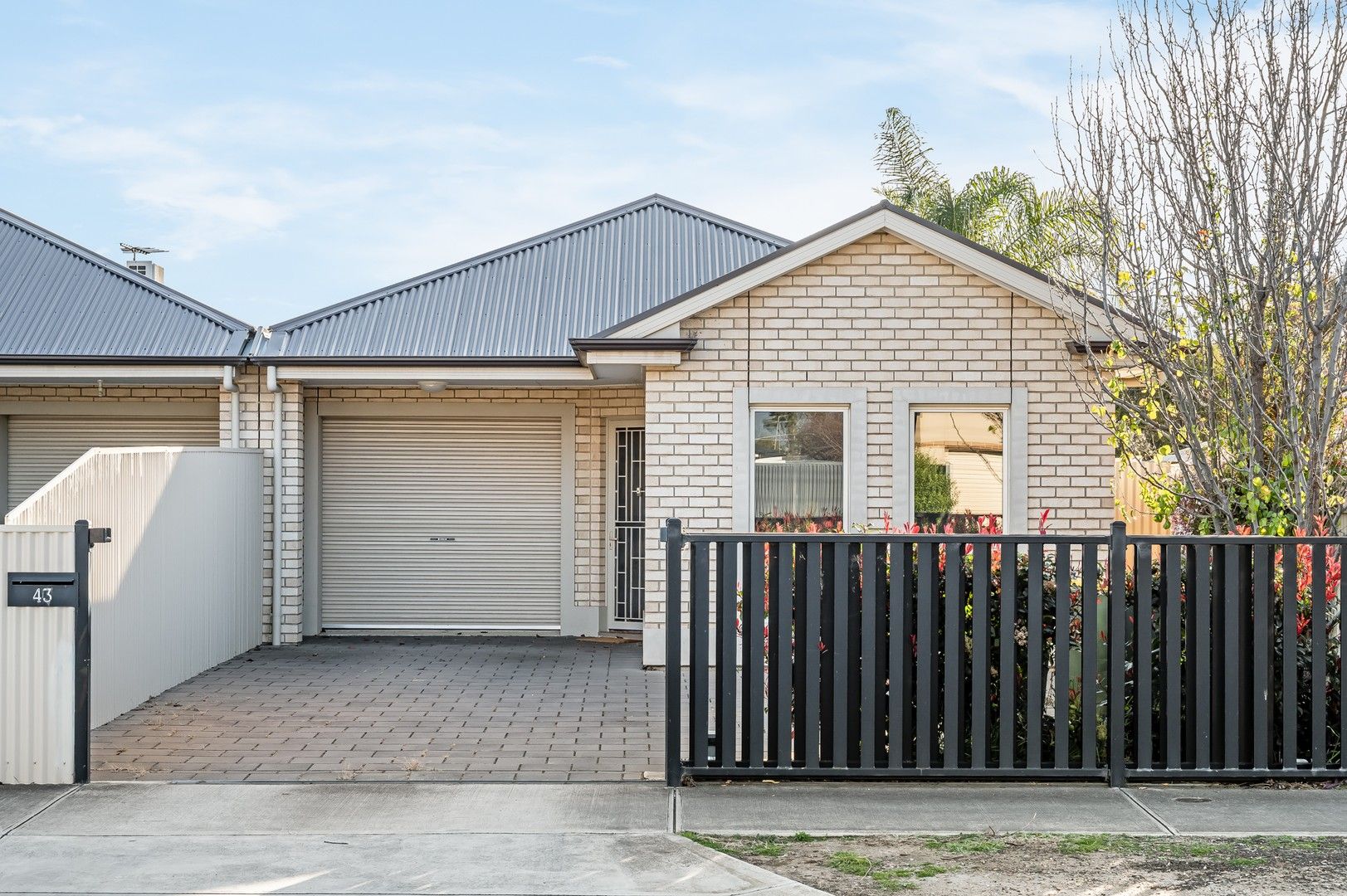 43 Ferry Avenue, Plympton Park SA 5038 House For Rent Domain