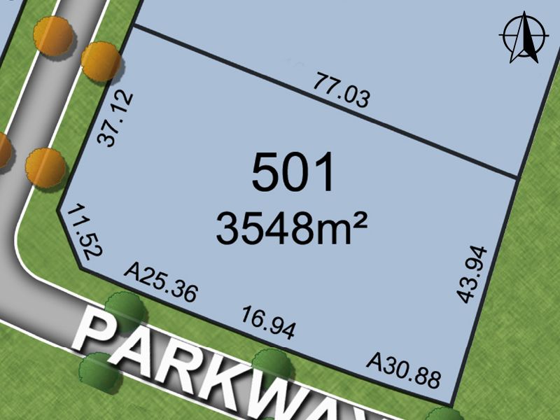 Lot 501 Pistacia Grove, Branxton NSW 2335, Image 0