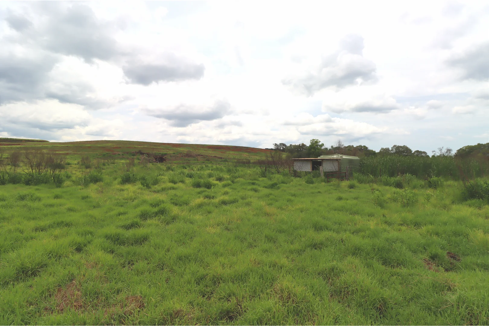 Image 12