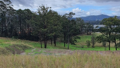 Picture of Lot 329 Elements Estate, COFFS HARBOUR NSW 2450