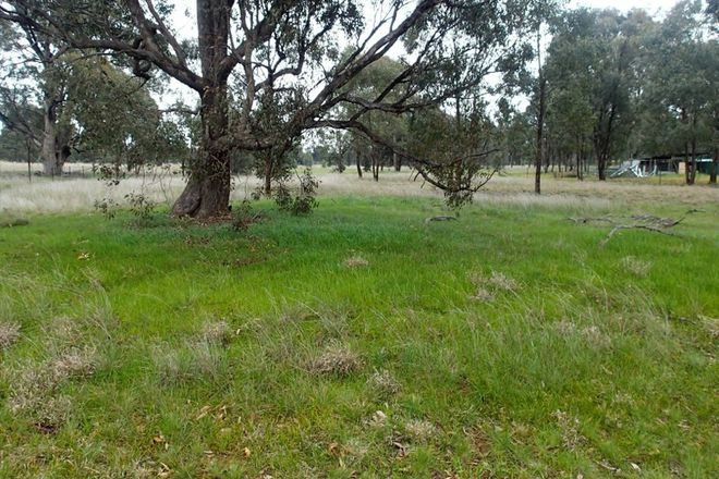 Picture of Lot/199 Coreen School Road, COREEN NSW 2646