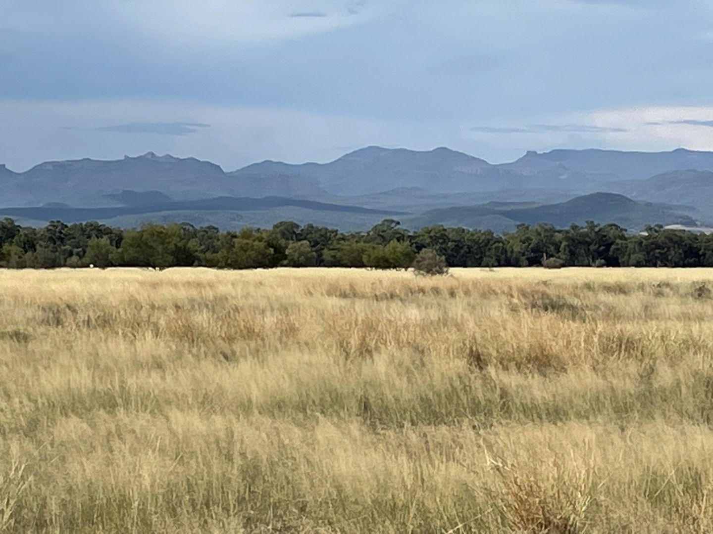 'Merulana' 17024 Kamilaroi Highway, Turrawan NSW 2390, Image 0