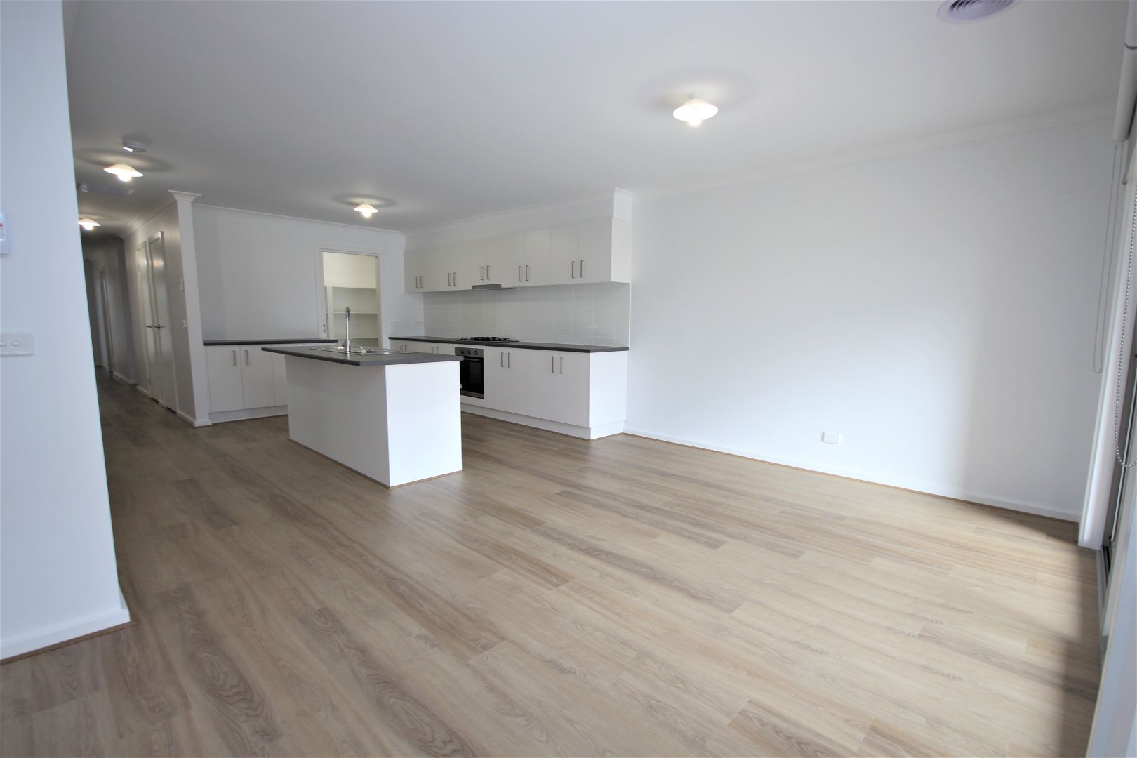 2C Azilemot Avenue, Herne Hill VIC 3218 House For Rent Domain