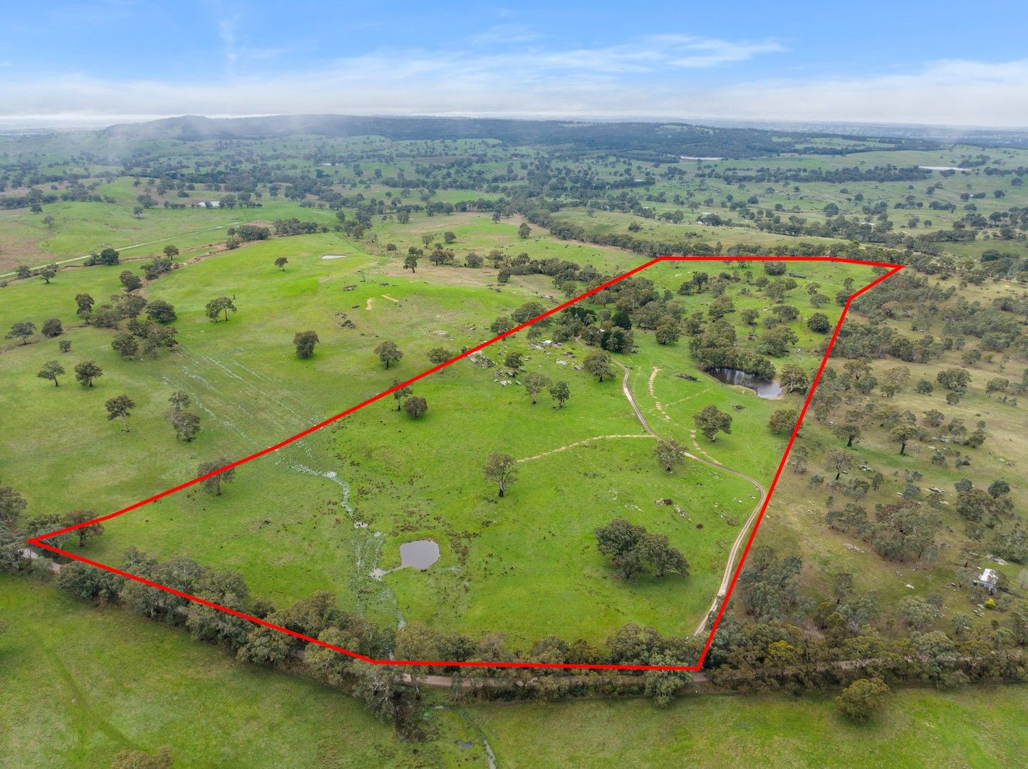 827 Trial Hill Road, Pewsey Vale SA 5351, Image 0