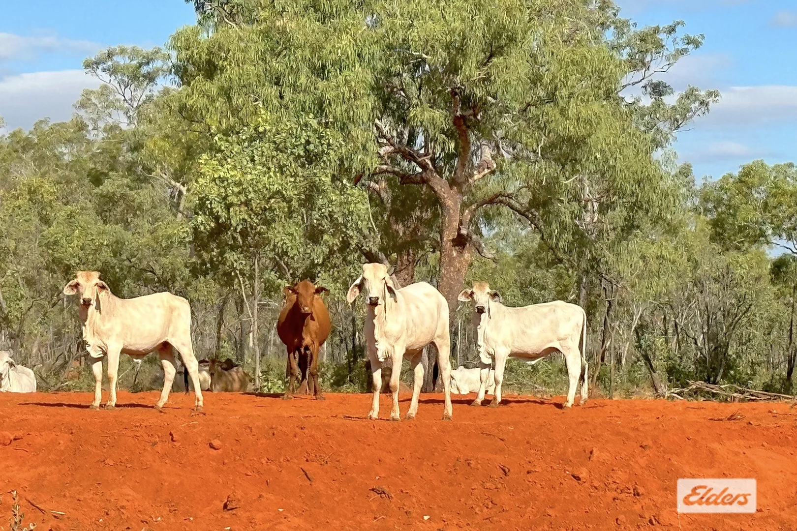 Additional image 15 of 4320 Stuart Highway, Katherine NT 0850