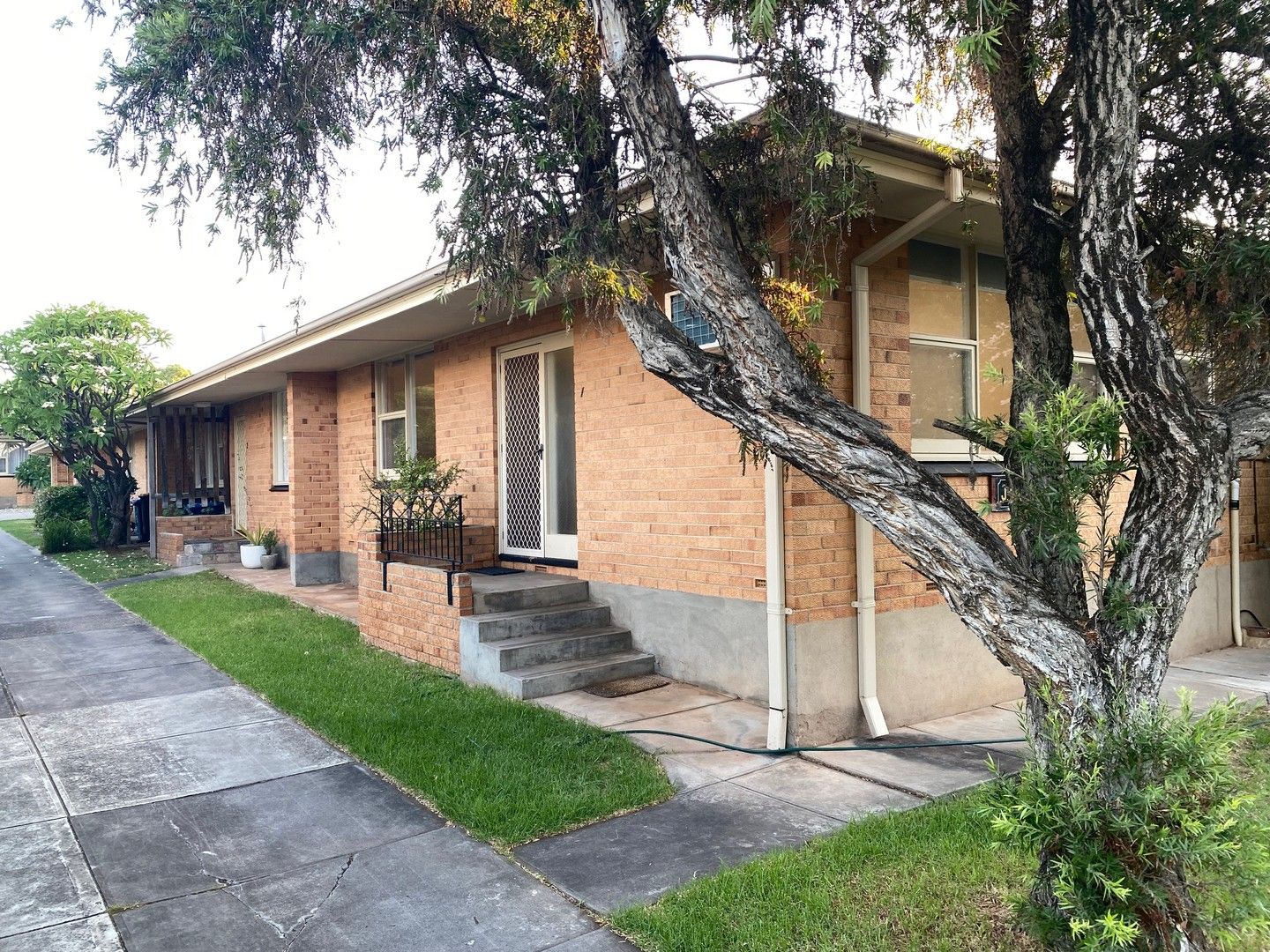 1/19 Osmond Terrace, Fullarton SA 5063 Apartment For Rent 420 Domain