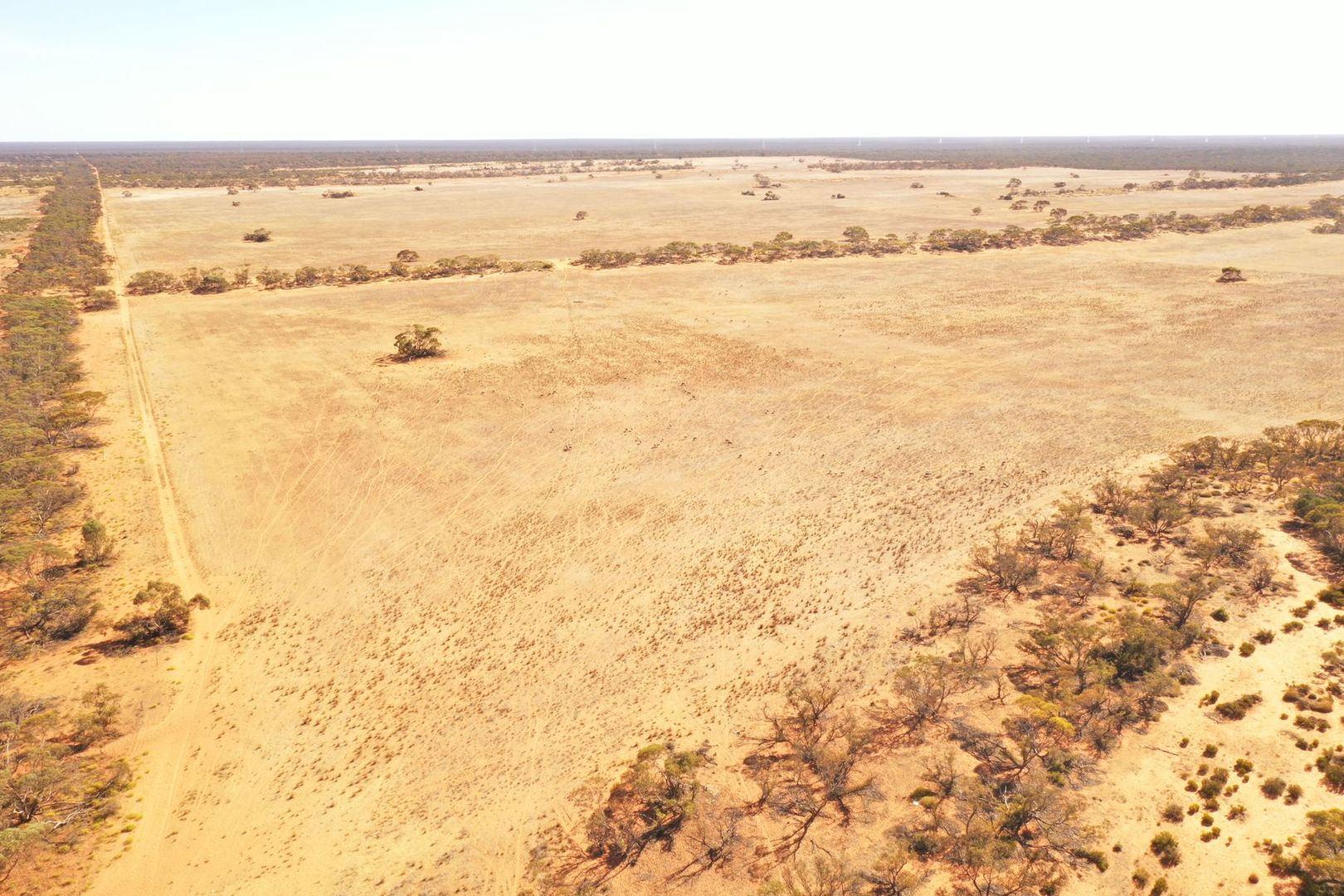 Sections 13, 15 & 16 Goyder Highway, Pooginook SA 5330, Image 1