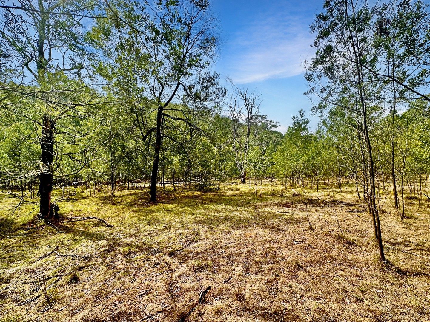 Rural in 196 Knights Road, LAGUNA NSW, 2325