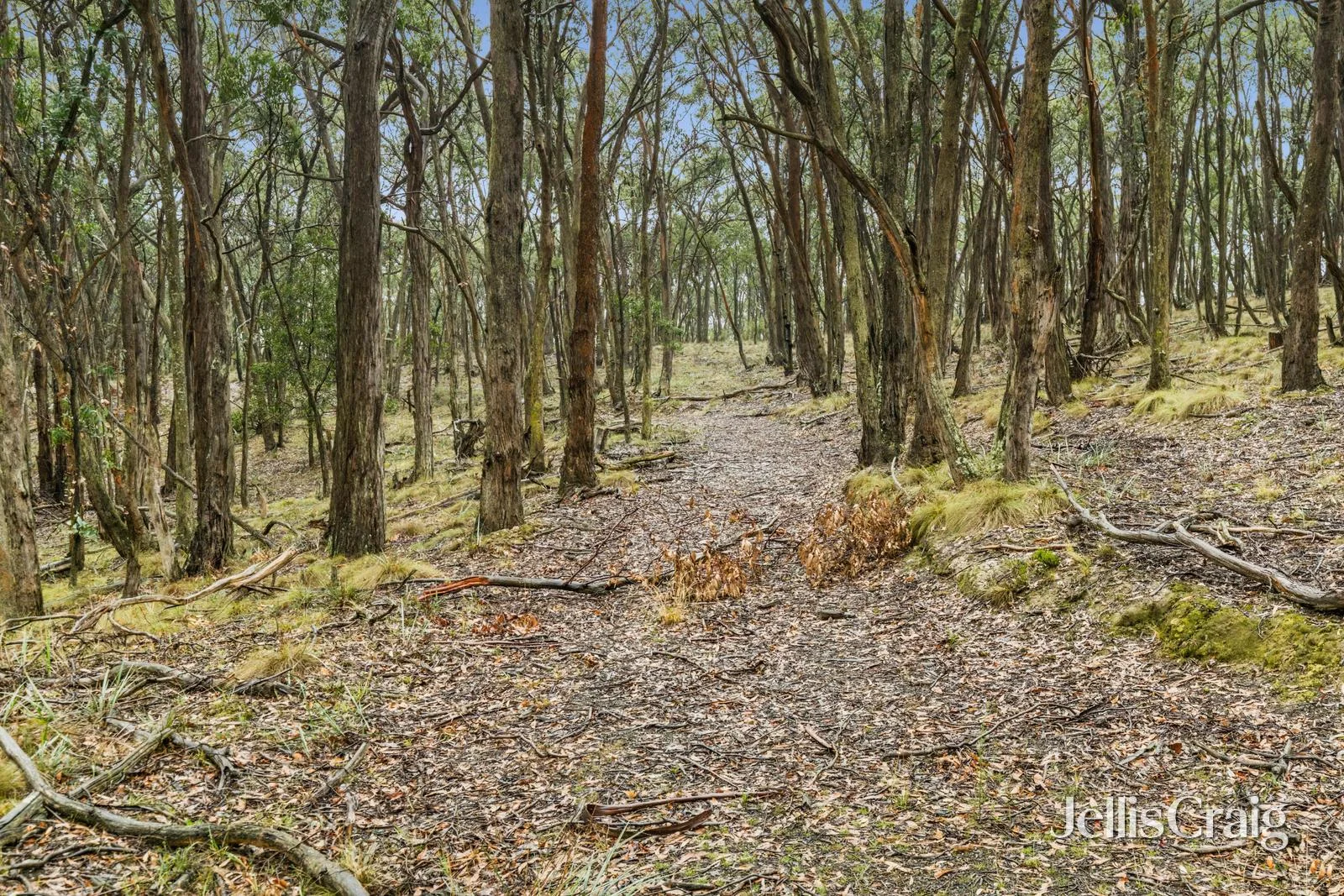 Image 10