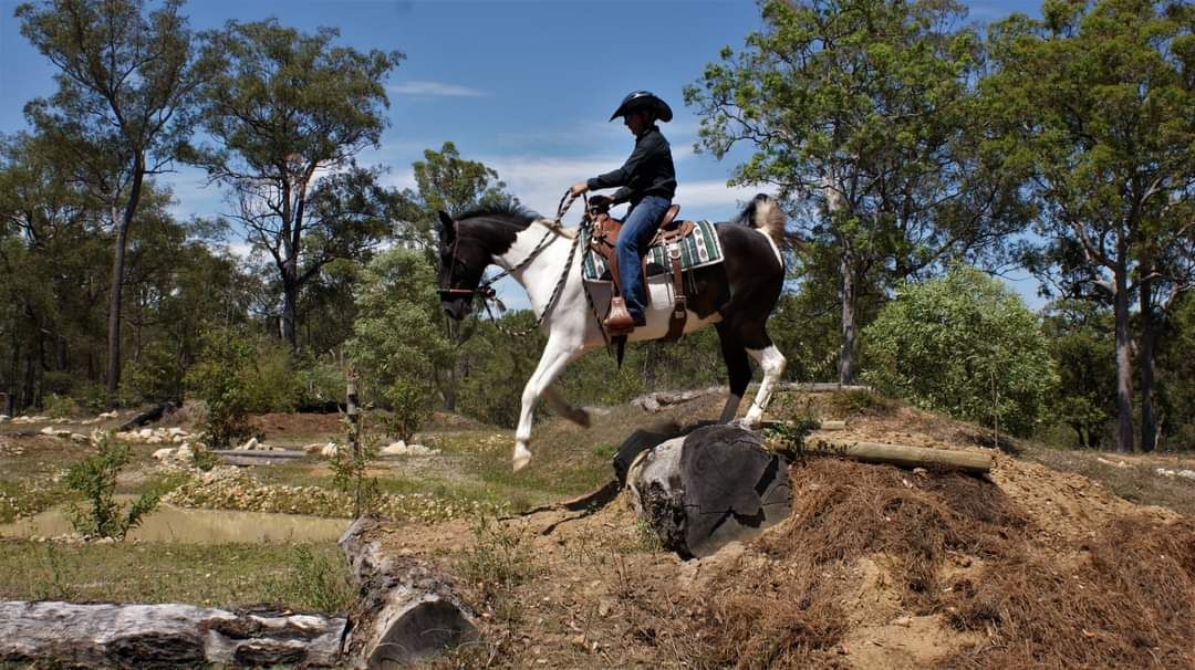 1773 Armidale Road, Coutts Crossing NSW 2460 House for Sale