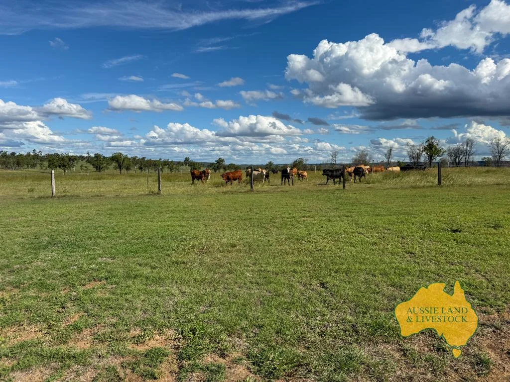 Additional image 30 of 854 MUNDUBBERA-DURONG ROAD, Boynewood QLD 4626