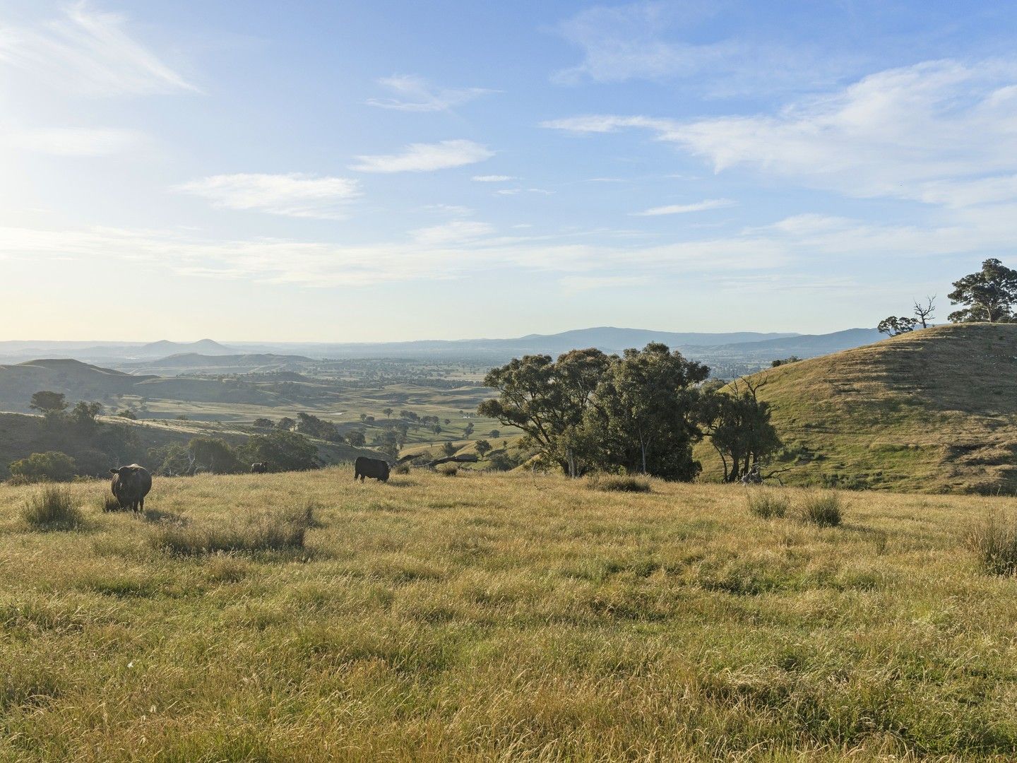 2 Gilley Lane, Barwite VIC 3722, Image 0