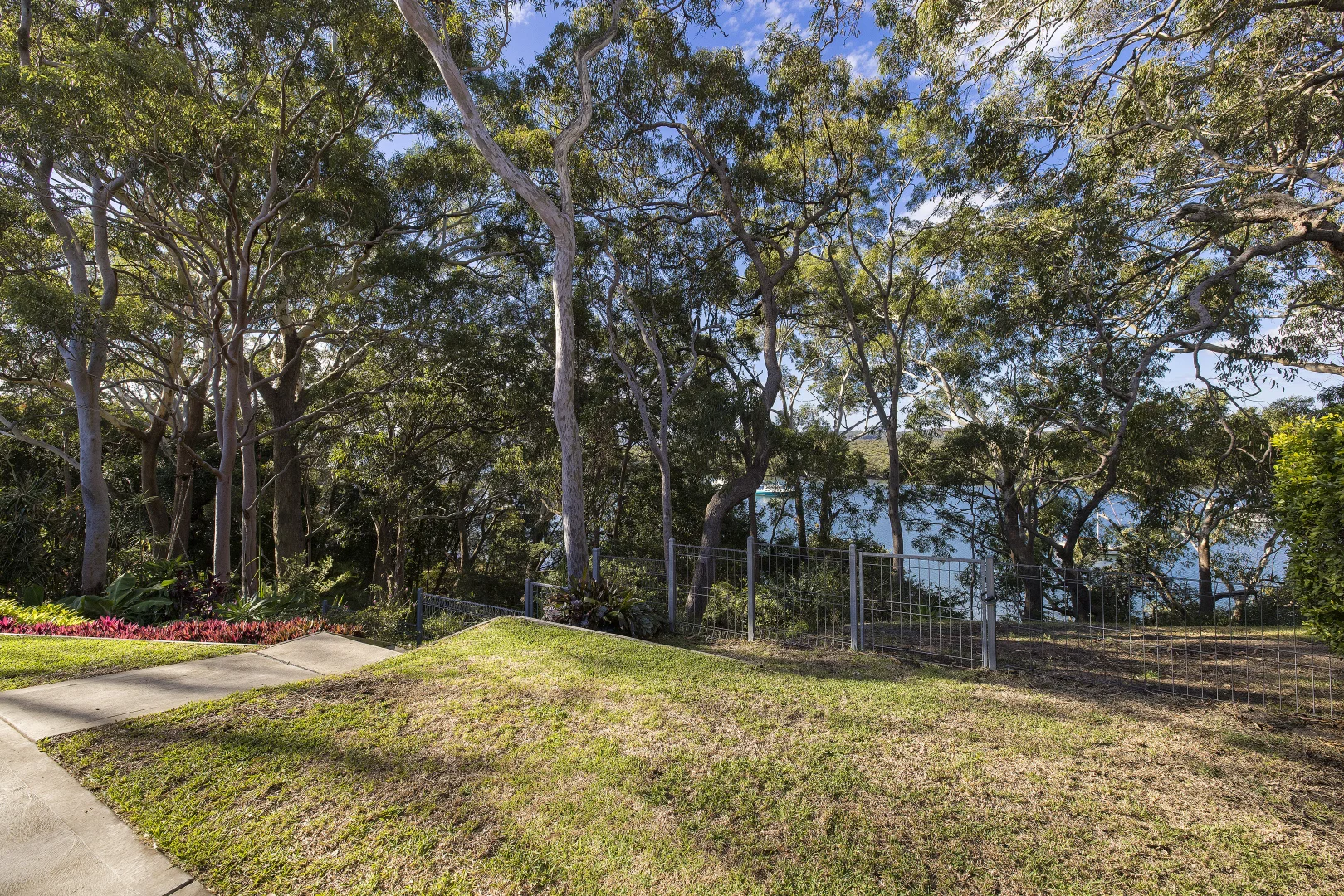 Image 15