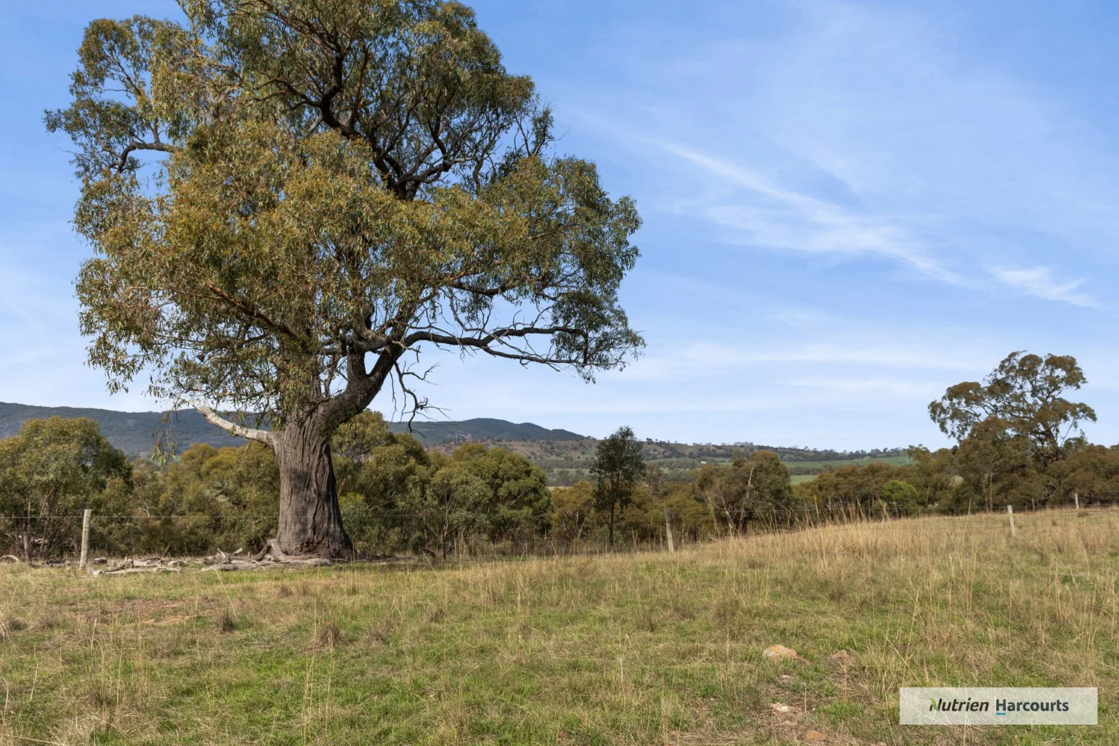 Additional image 14 of 310 Dockerys Road, Tallarook VIC 3659