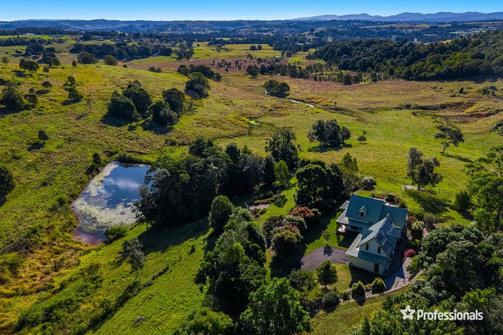 17 Carabeen Place, Mcleans Ridges NSW 2480 Domain