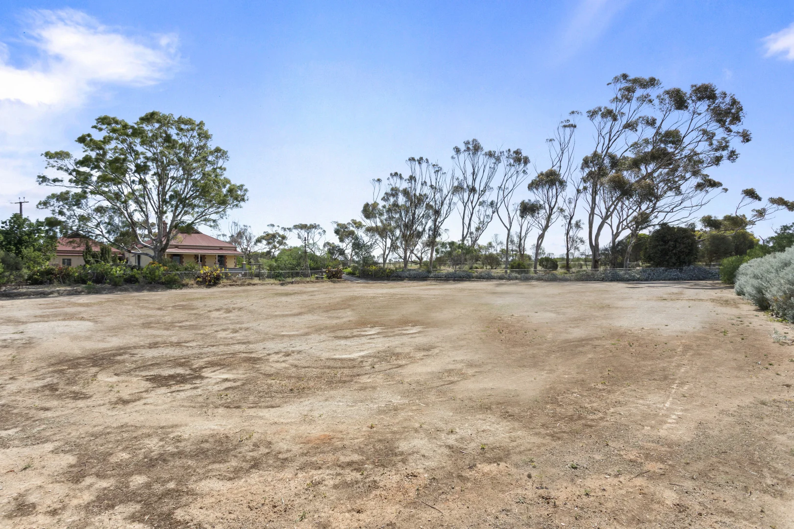 Image 61