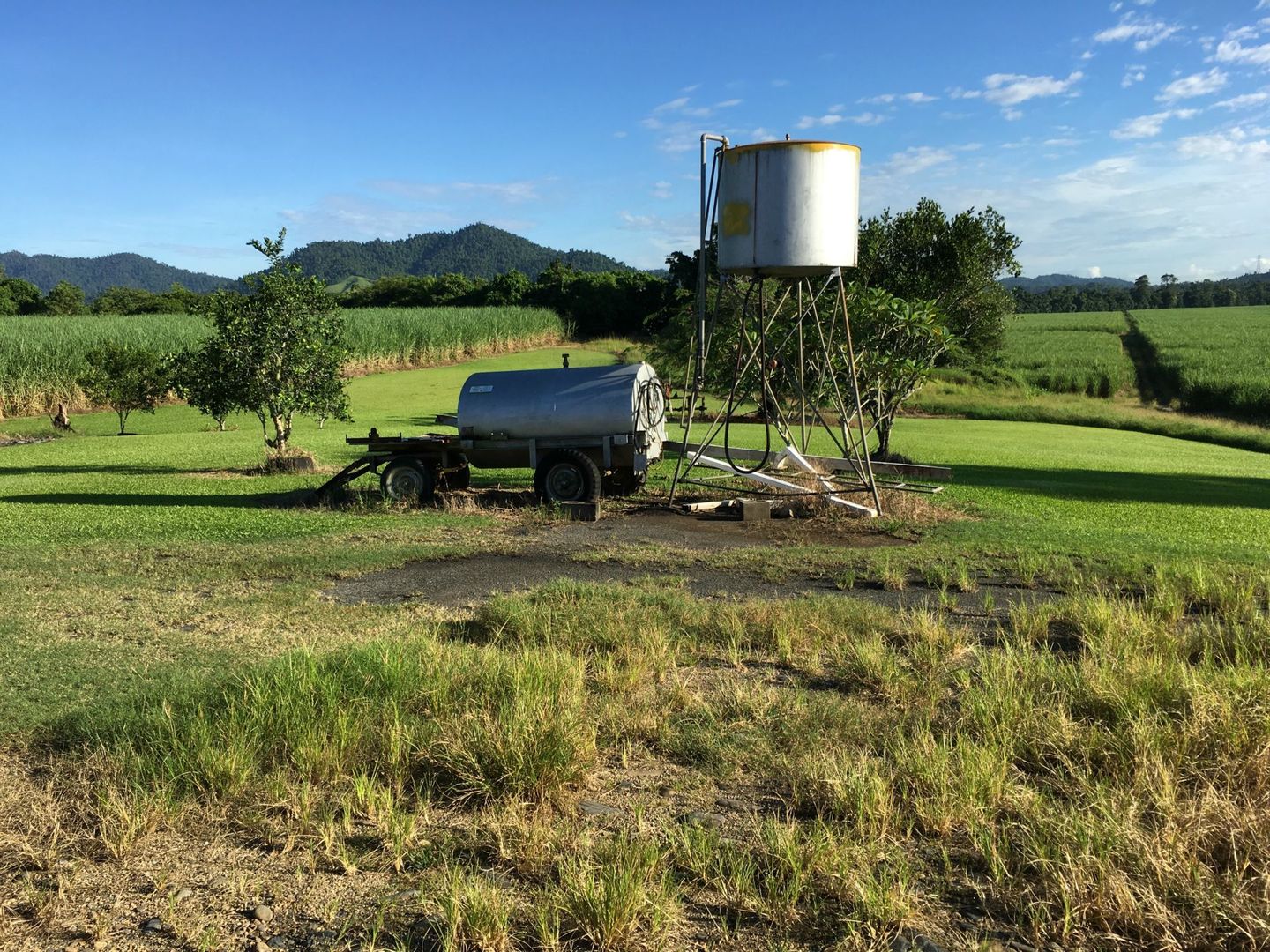 Silkwood QLD 4856 house for Sale, P.O.A. 2013491817 Domain