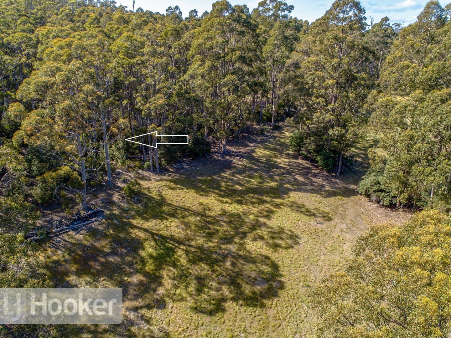 65 Pioneer Road, Kaoota TAS 7150, Image 2