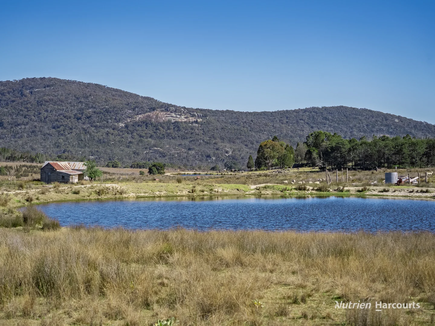 Additional image 7 of Rocky Glen Road, Kingstown NSW 2358