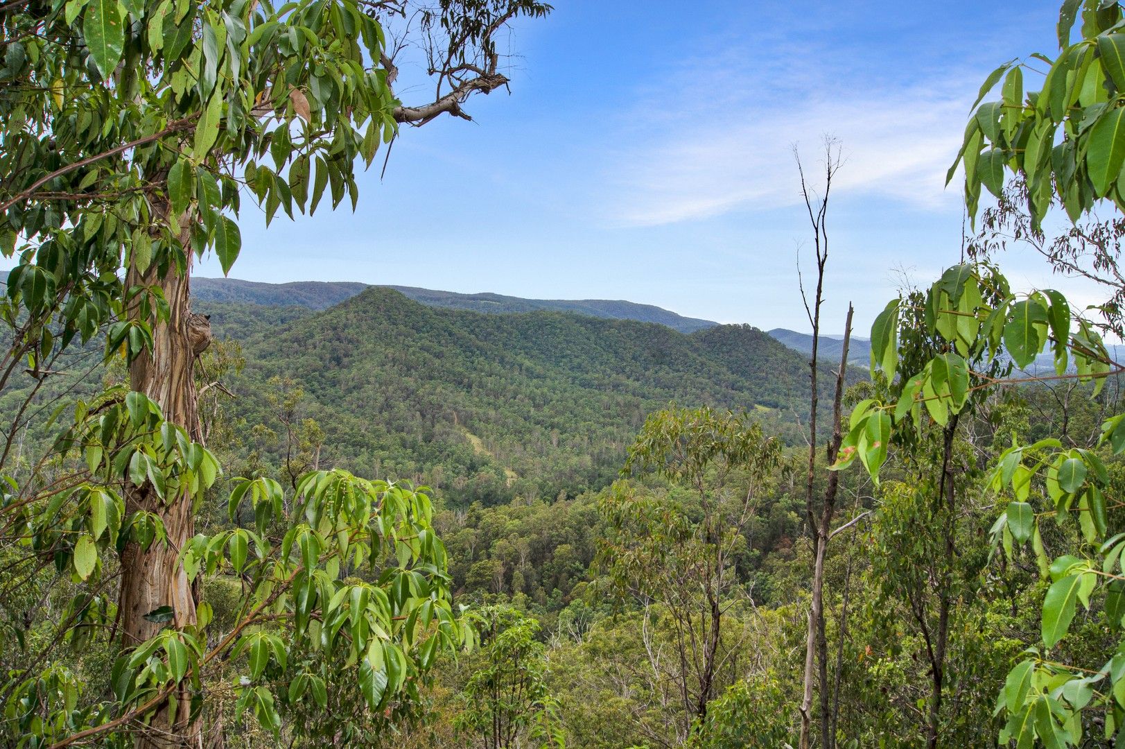 440 Cedarvale Road, Sandy Creek QLD 4515 House for Sale 1,984,000