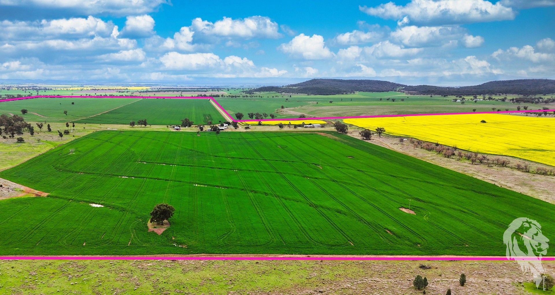 4 bedrooms Farm in 203 Bakers Road GUNNEDAH NSW, 2380