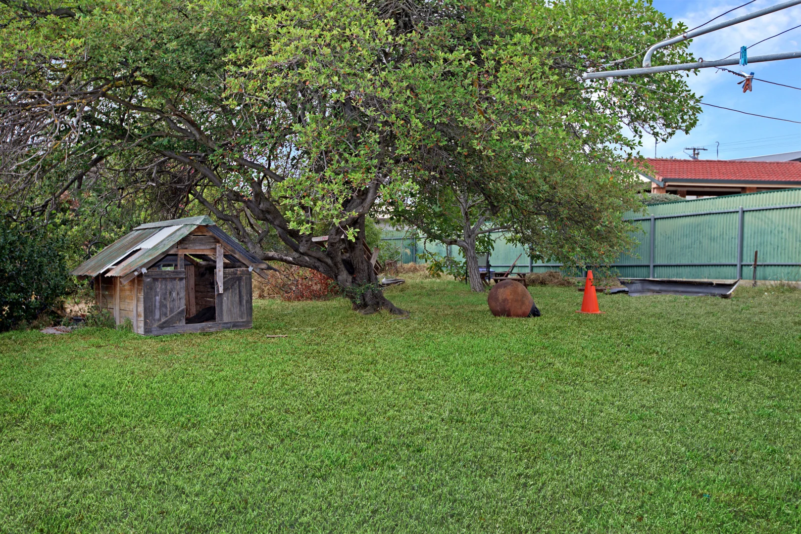 Image 15