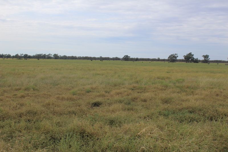 " Amaroo Drive Blocks", Moree NSW 2400, Image 0