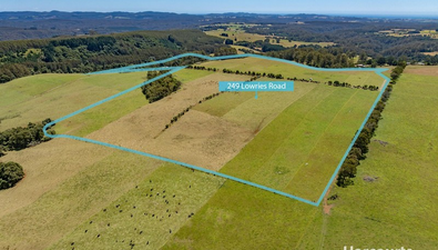 Picture of 249 Lowries Road, OLDINA TAS 7325