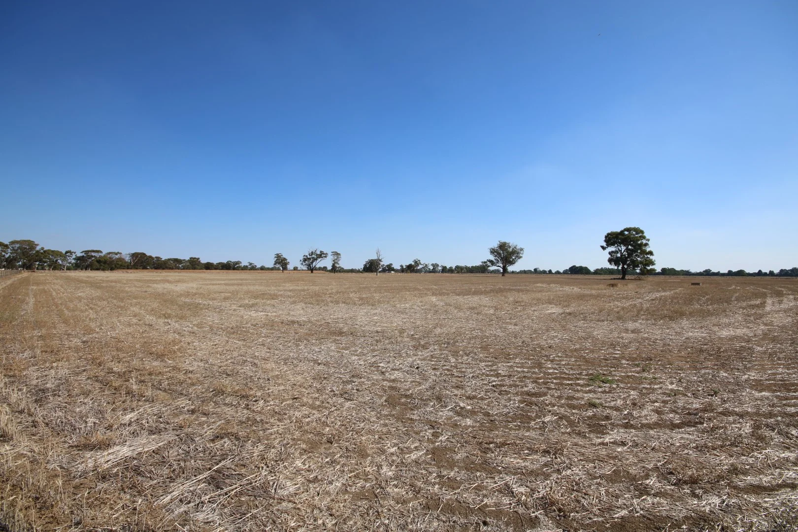 Image 35