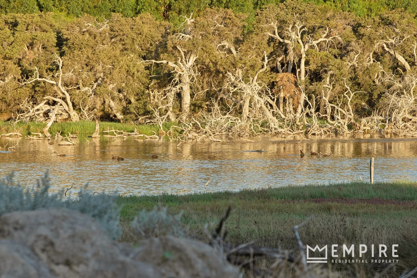 Additional image 5 of 8 Katsura Gardens, Lake Coogee WA 6166