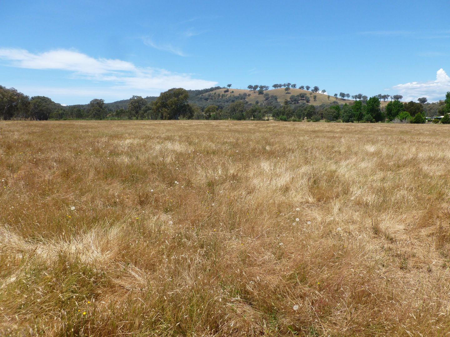 Lot 2, 71 Forrest Lane, Chiltern VIC 3683, Image 1