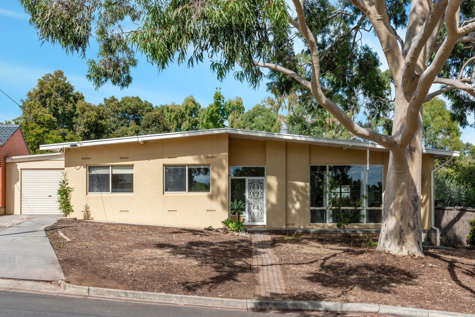 99 Eliza Place, Panorama SA 5041, Image 0