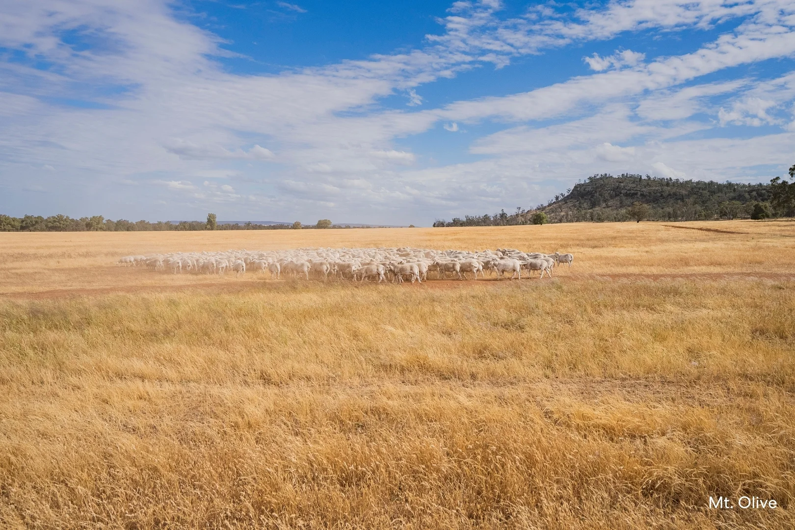Additional image 14 of Kamarah Road, Narrandera NSW 2700