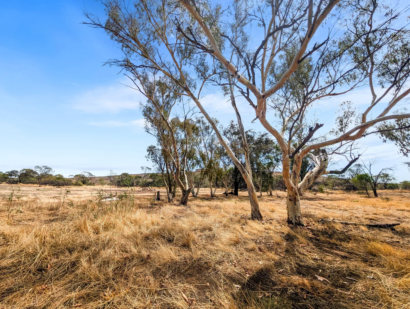 Additional image 17 of Lot 41 Golf Course Road, Bruce Rock WA 6418