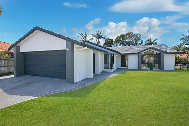 Banora Point High School Catchment Nsw 2486 Domain