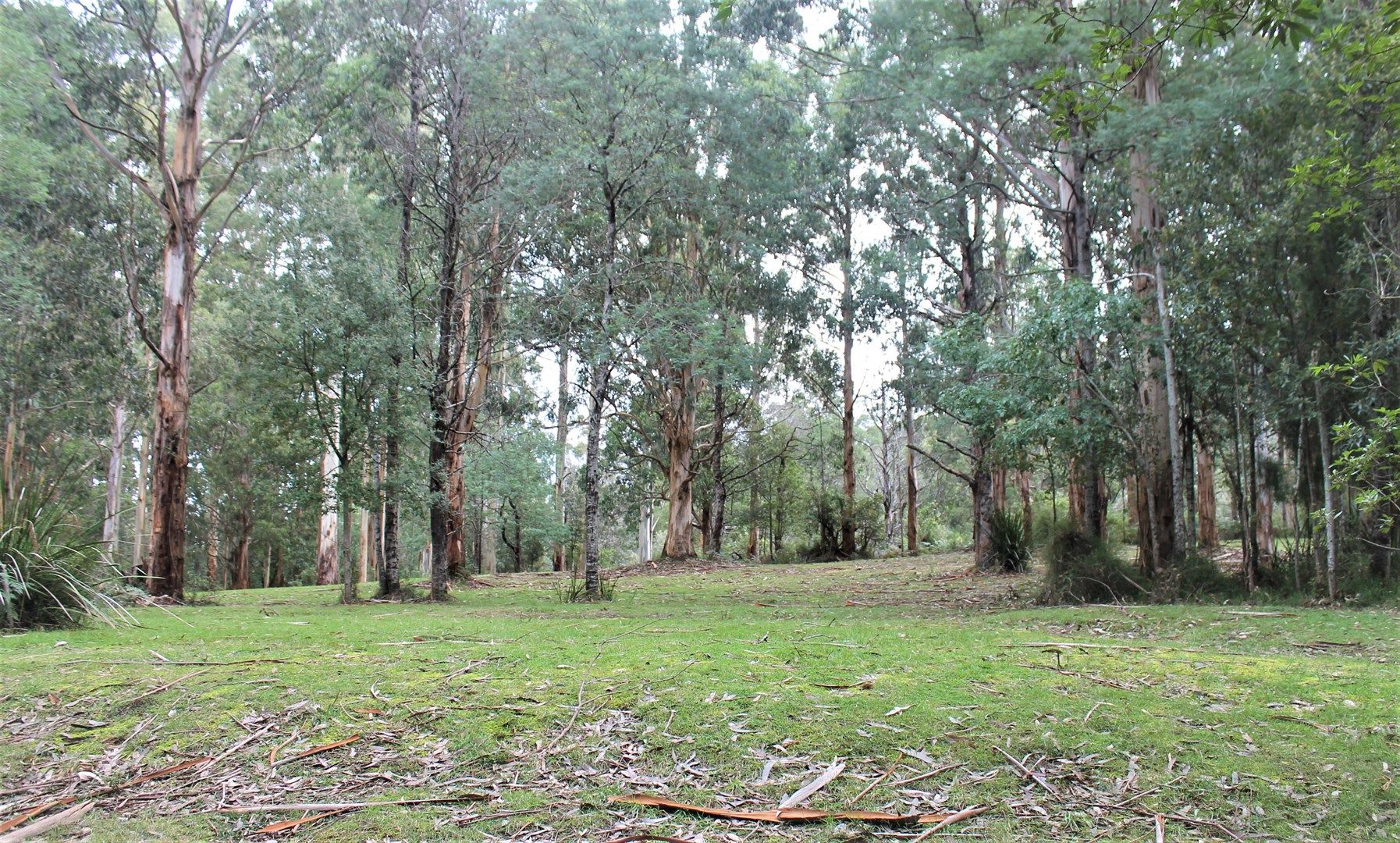 8/2260 Mt Baw Baw Tourist Road, Icy Creek VIC 3833, Image 0